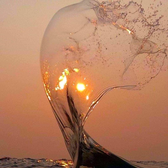 Meet your Posher - Picture 1 of 1